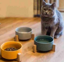 Ceramic Pet Cat Bowl, Wooden Shelf Cat Dog Food Bowl